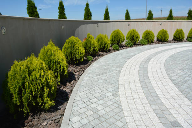 Best Interlocking Driveway Pavers  in Lone Pine, CA